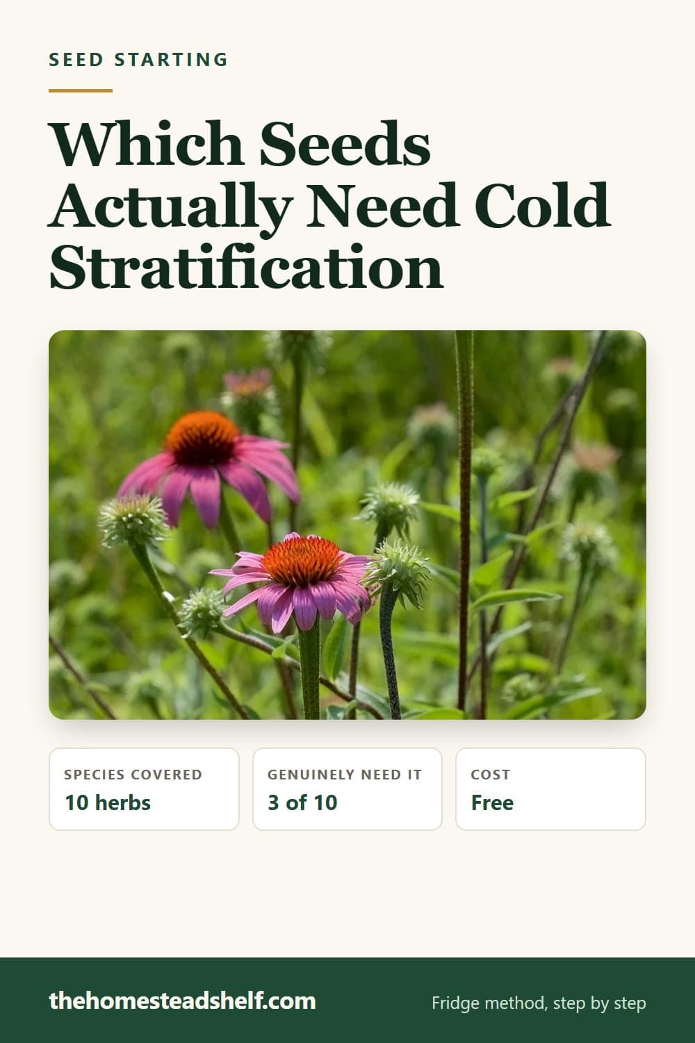 Pinnable card: Which Seeds Actually Need Cold Stratification