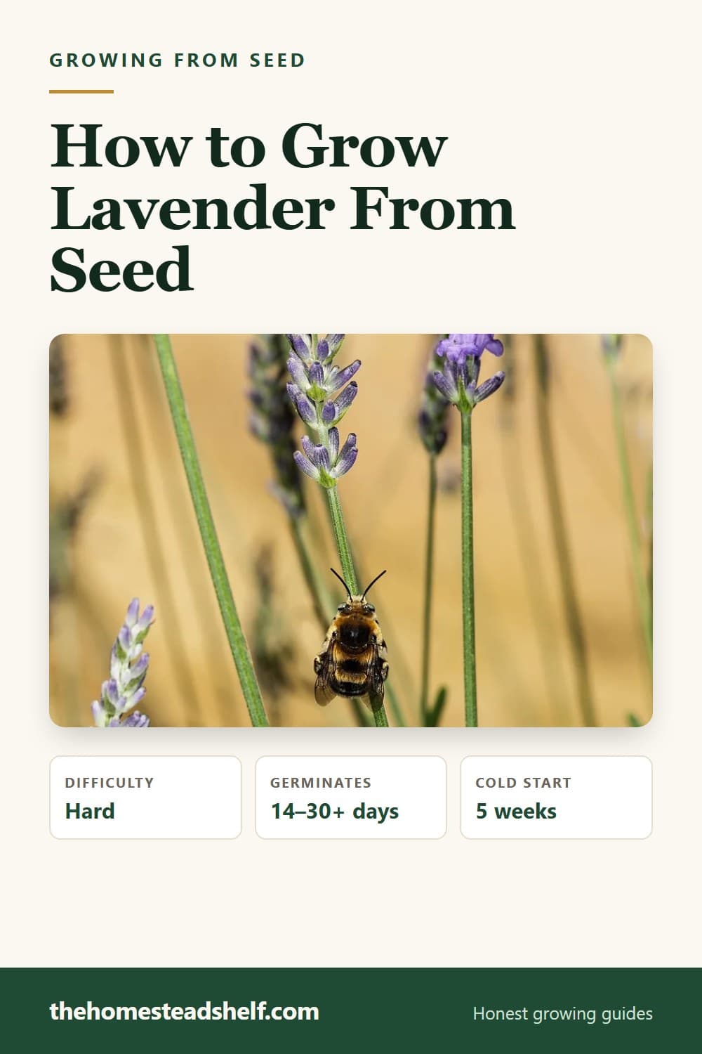 Pinnable card: How to Grow and Germinate Lavender From Seed (And Why Professionals Usually Do Not)