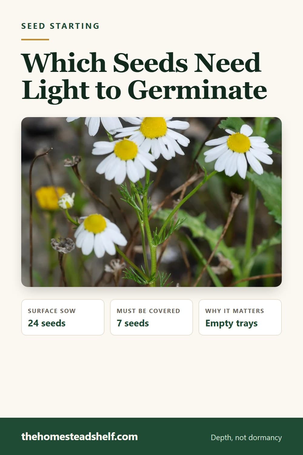 Pinnable card: Which Seeds Need Light to Germinate