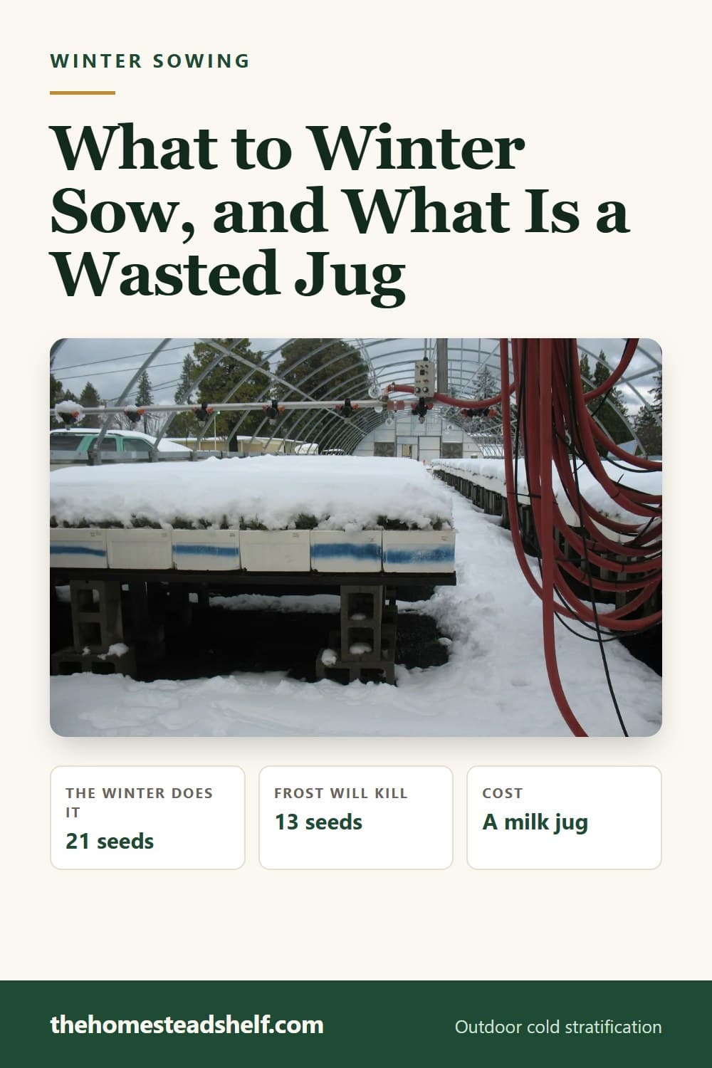 Pinnable card: What to Winter Sow